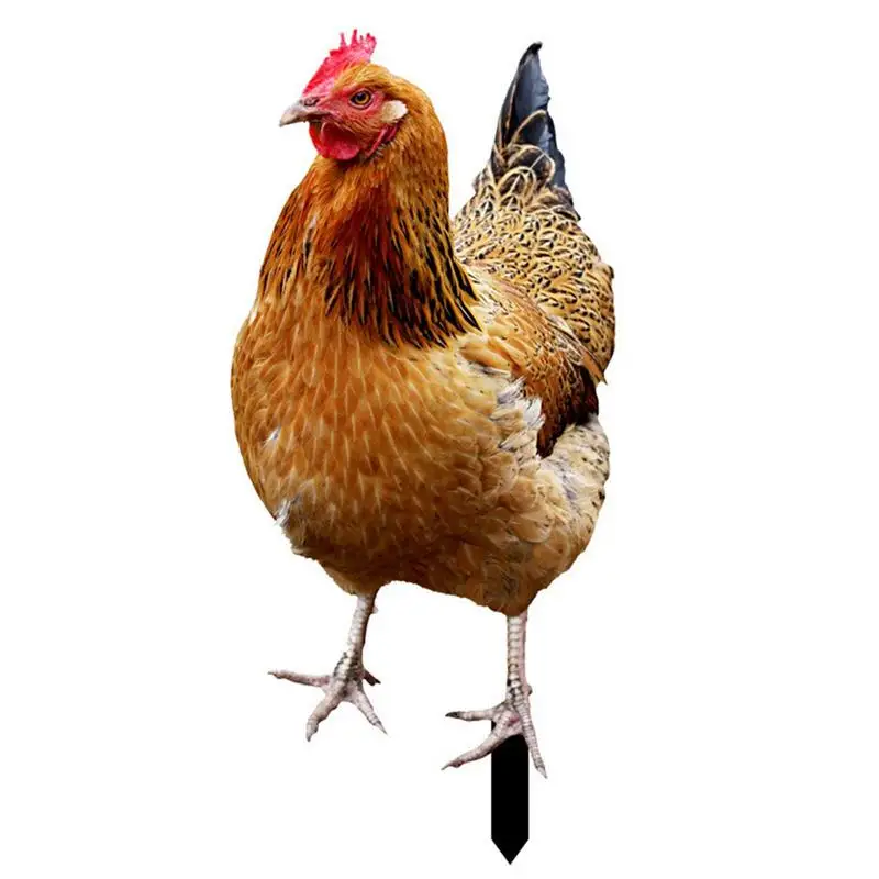 

Outdoor Chicken Decor Hen Statue 2D Acrylic Decor Realistic Chicken Sculptures For Farm Garden Patio Lawn Yard Decorations