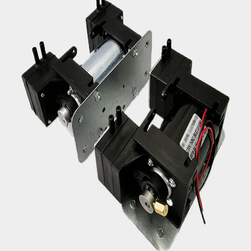 

High Positive Negative Pressure Vacuum Pump Large Beauty Instrument Mute Double Head Diaphragm Pump Micro Air Pump