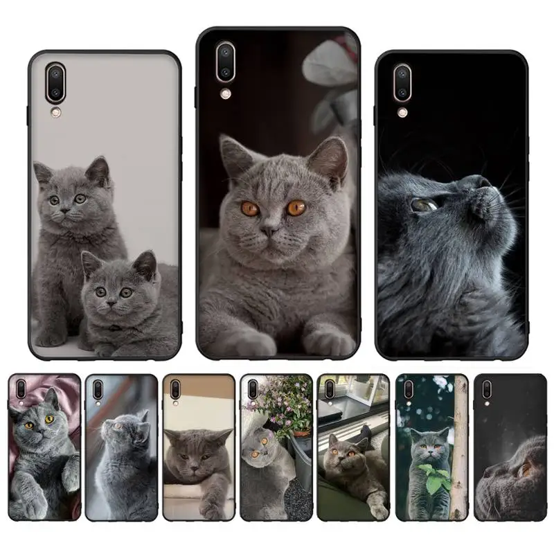 

British Shorthair Cat Phone Case For Oppo Reno Realme C3 6Pro Cover For vivo Y91C Y17 Y19 Funda Capa