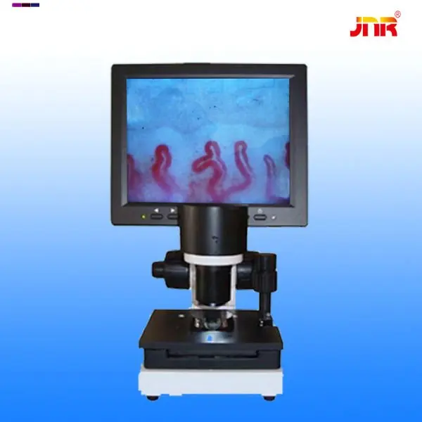 

New blood capillary microcirculation