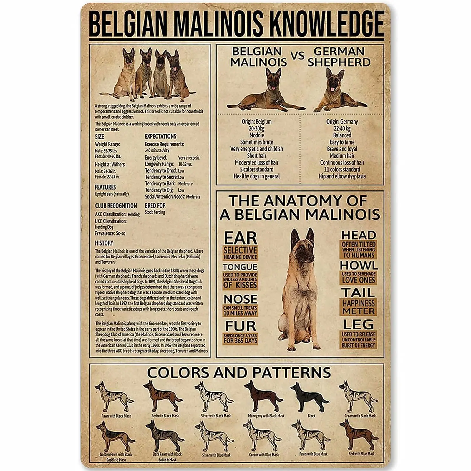 

Veidsuh Belgian Malinois Knowledge Retro Poster Plaque for Club Cafe Bar Home Kitchen Wall Decoration