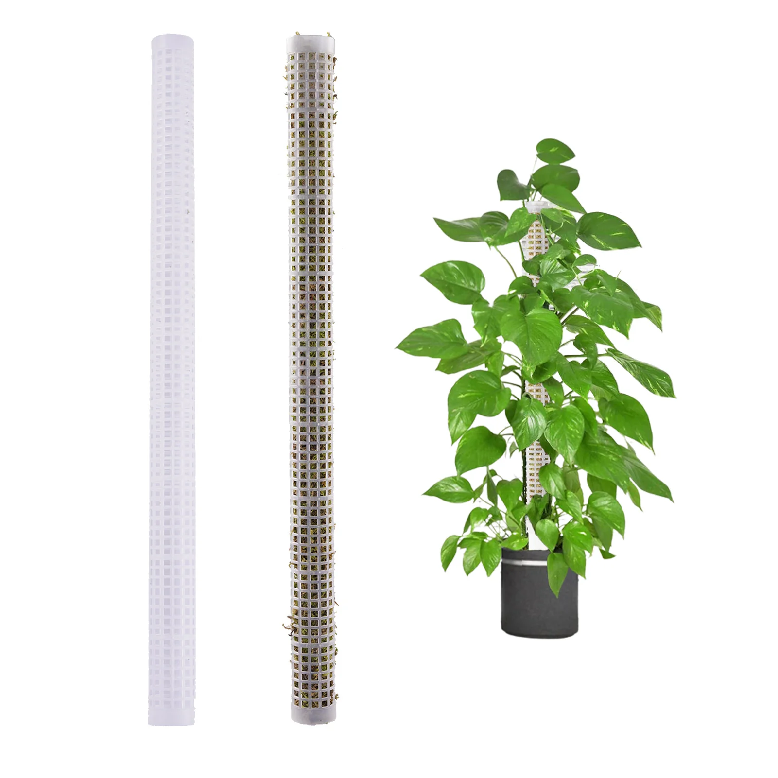 

Plant Stake Supports Sturdy Mesh Design Climbing Plant Pole Plant Stake Supports For Climbing Plant