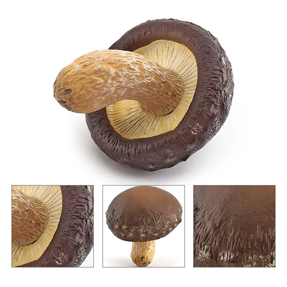 Овощная модель фигурки грибов пейзажные миниатюры Matsutake Oyste имитация гриба