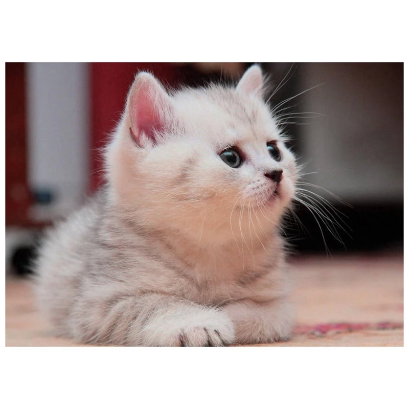 

DIY Diamond Embroidery Round Resin Diamond Cross Stitch Home Wall Decor (White Cat) 30X40cm