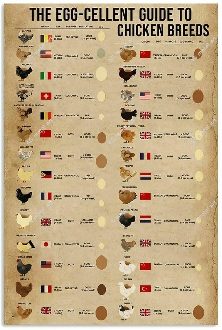 

Retro Tin Sign Art Poster Guide To Chicken Breed Kitchen Home Decoration Restaurant Farm Metal Sign posters 8x12 Inches