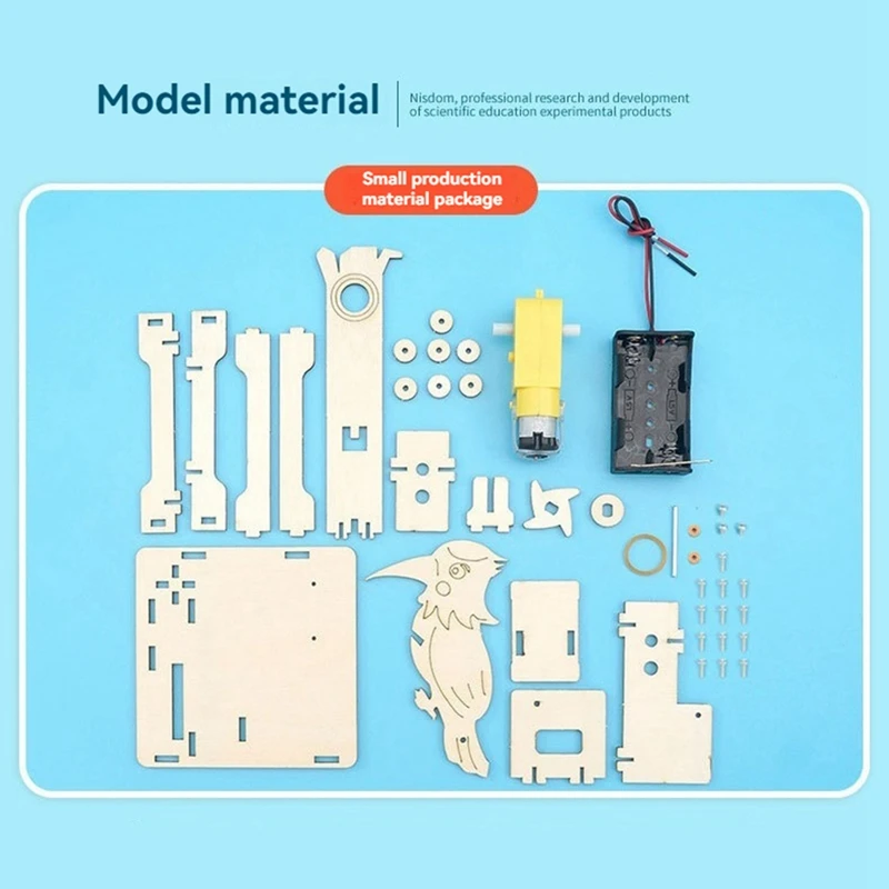 DIY Woodpecker Assemble Model Science Experimental Tool Kit STEM For Learning Wooden Puzzle