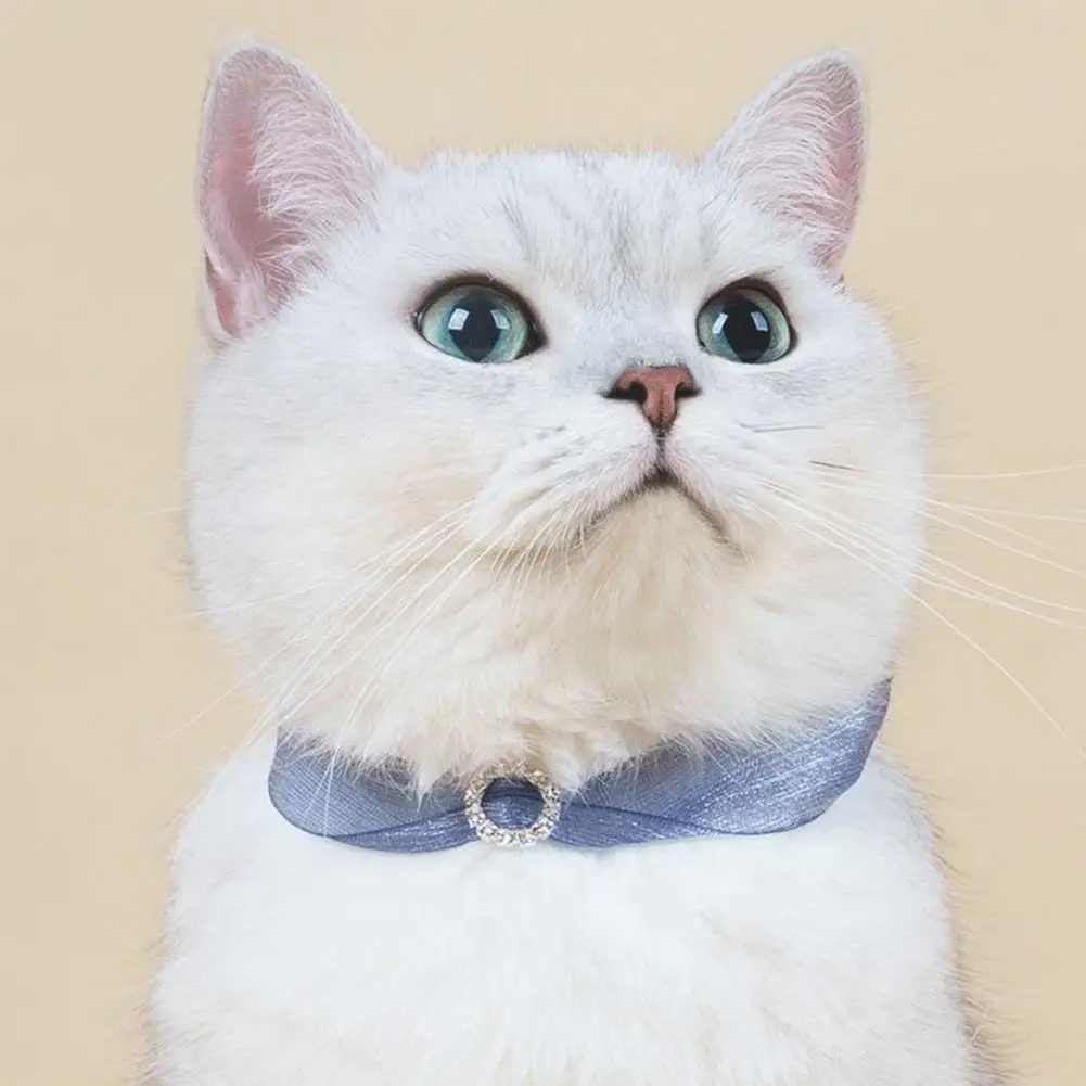 

Kitten Collar Decorative Pet Collar Original Stripe Tie Necklace Cat Accessories