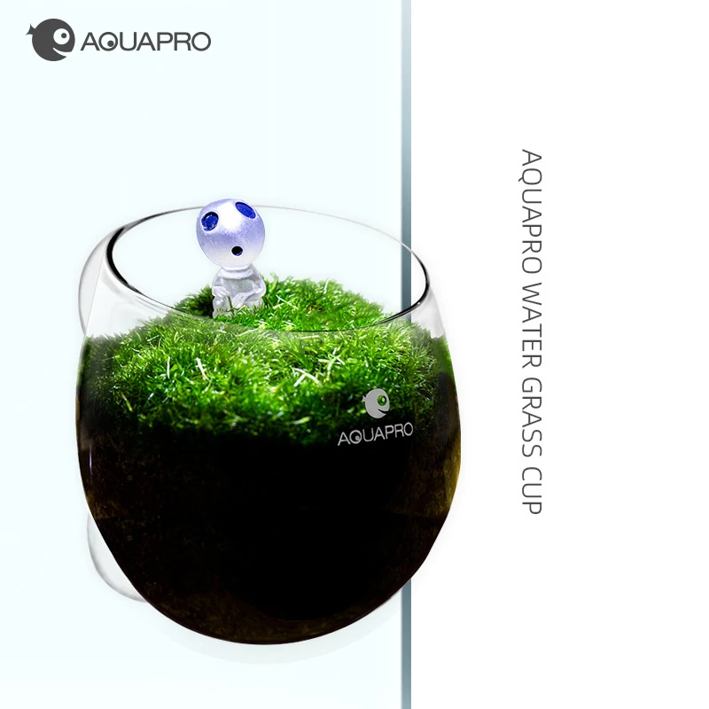 

Aquapro Crystal Glass Cultivation Aquarium Fish Tank Decor Pot Water Potted Aquatic Planting Cylinder Cup Hanging Plant acuario