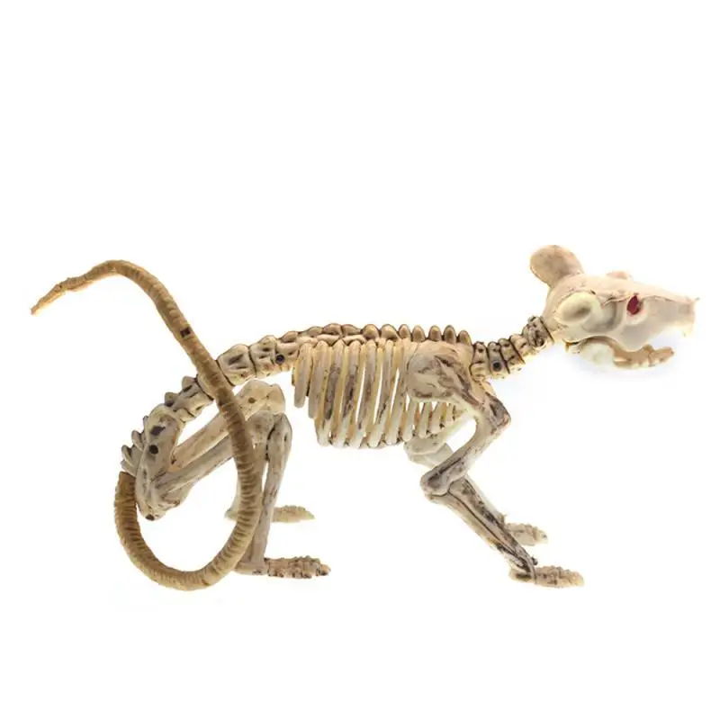 

Party Decorations Creepy Festive Crawl Unique Spooky Creepy Rat Scorpion Creepy Bat Skeleton Ghost Party Spine Chilling Scary