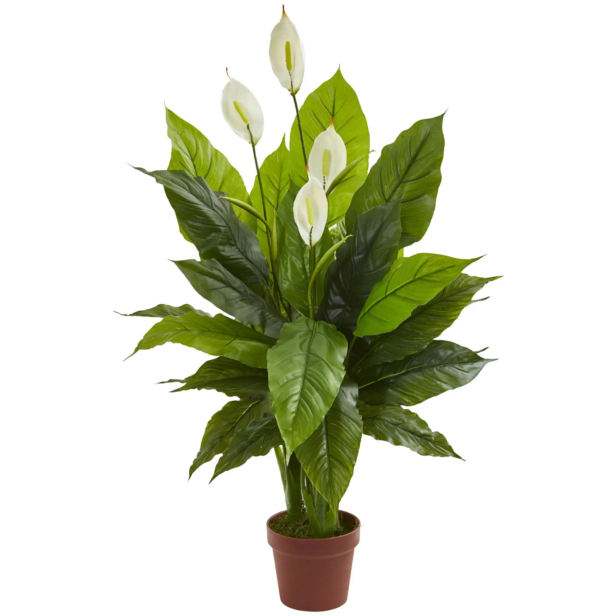 

Искусственное растение Spathiphyllum 42 дюйма (на ощупь), зеленое