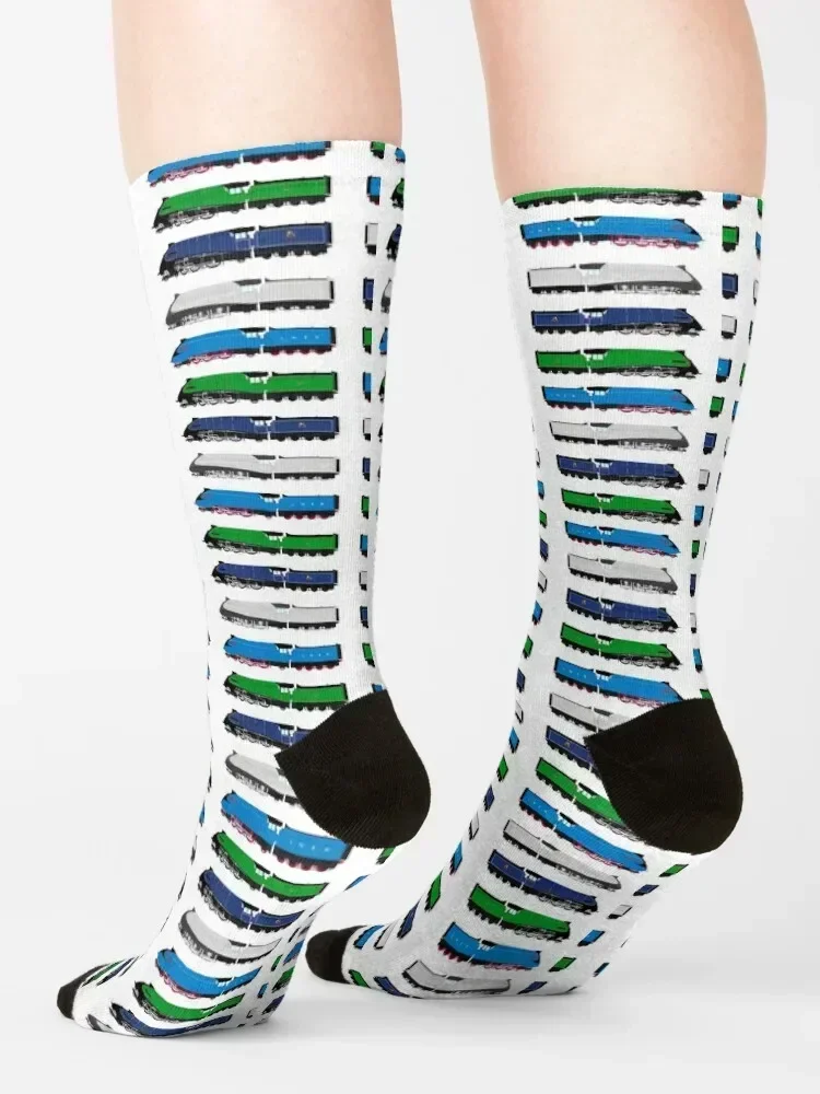 Sir Nigel Gresley's A4 носки с принтом паровоза чулки хлопковые роскошные женские
