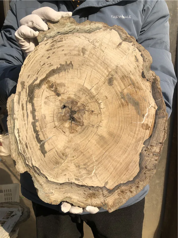 

Натуральный экземпляр из пирифицированной древесины, 4 кг, частично драгоценные камни, кусочки кристаллов, лечебные камни для домашнего дек...