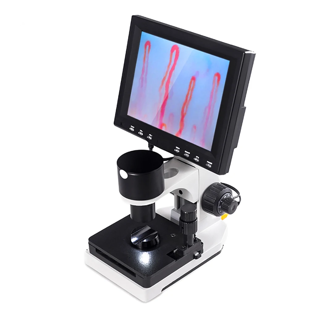 

8inch 10inch 12inch Biological Microcirculation Microscope Blood Capillary Microscopes