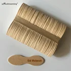 Одноразовые ложки для мороженого из березы, 100 шт.