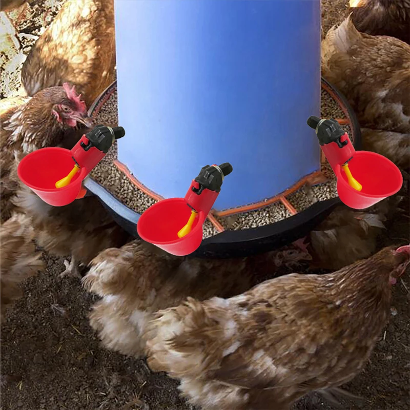 Plastic Pet Bird Drinker Feeder Automatic Water Bottle Cup For Chicken Pigeon Parrot Nozzle Family Garden Farm Poultry Feeder