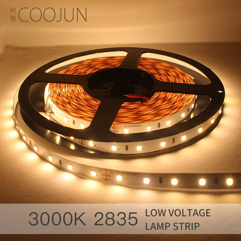 

COOJUN Room Ceiling Wall Decoration LED Flexible Rope LED Soft Strip Lights High CRI Ra90 2835 DC24V 60 Leds Cut Short Freely