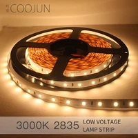 coojun room ceiling wall decoration led flexible rope led soft strip lights high cri ra90 2835 dc24v 60 leds cut short freely