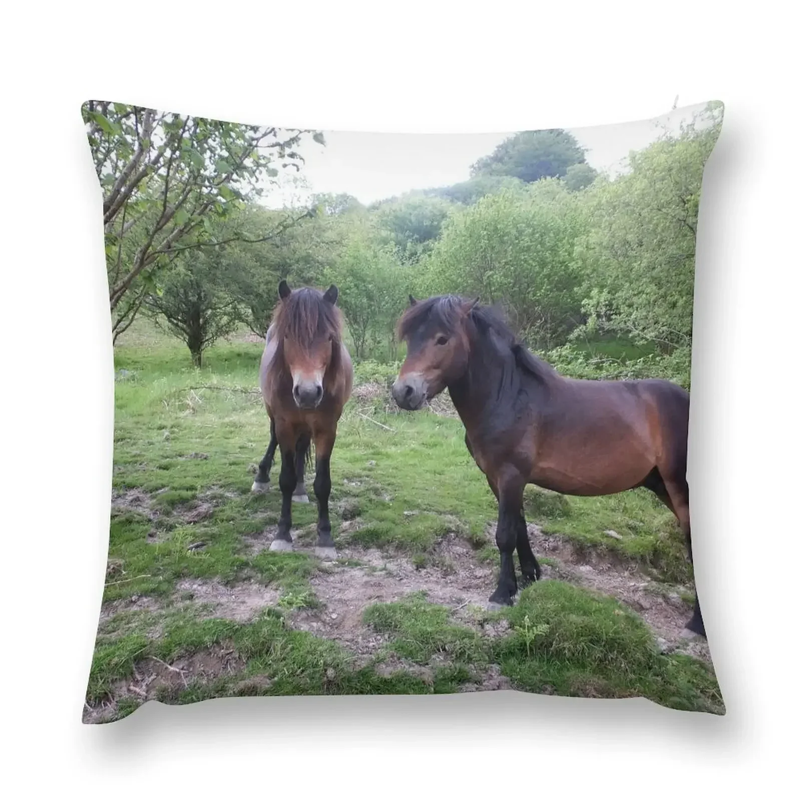 Декоративная подушка Exmoor Ponies декоративные чехлы для дивана наволочка