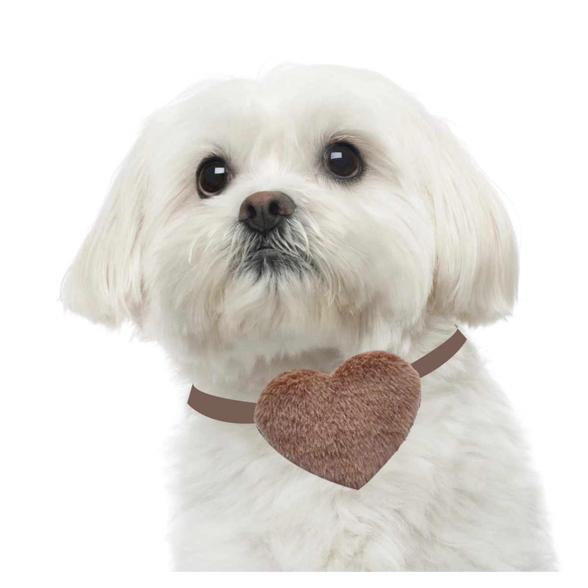 

50/100pcs Small Shape Dog Collars Product Heart Bowties Ties Adjustable Bow Neckties Bowtie Pet Dog Day Grooming Valentine's Dog