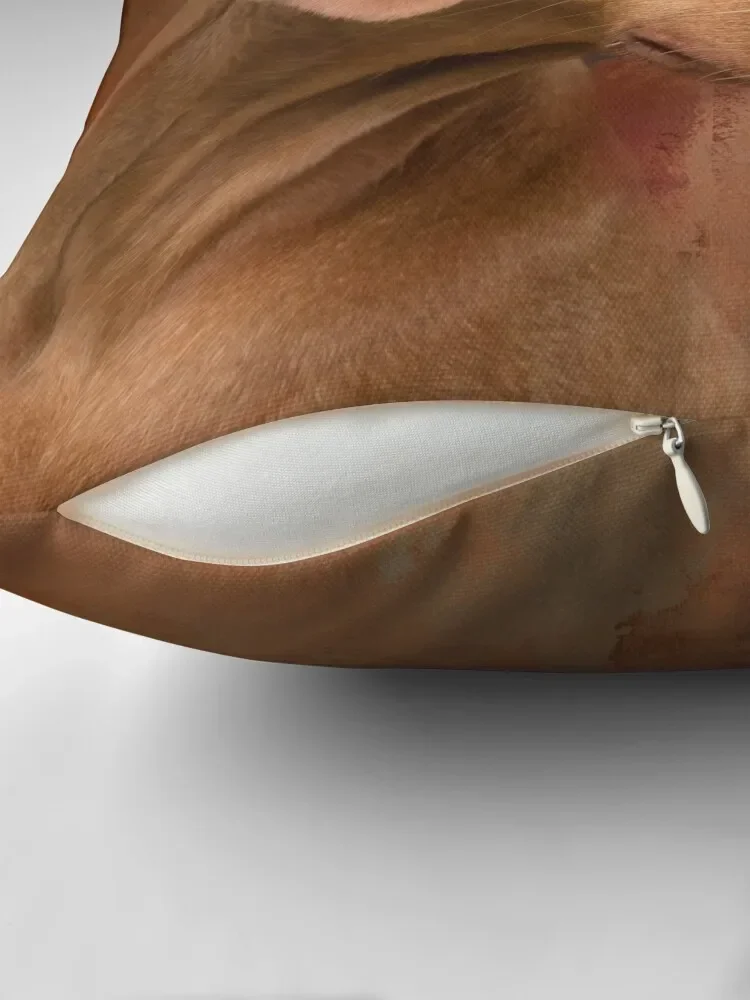 Декоративная наволочка Vizsla для гостиной подушки кровати