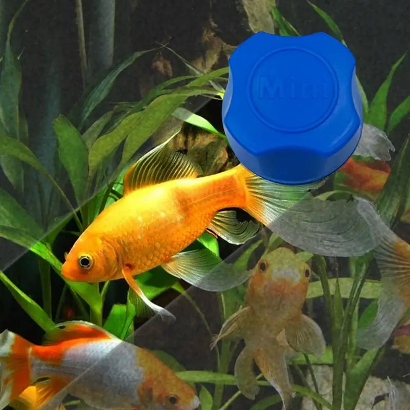 

Fish Tank Glass Cleaner Magnet Magnetic Algae Scraper Magnetic Glass Cleaner Small Fish Tank Glass And Acrylic Aquarium Magenet