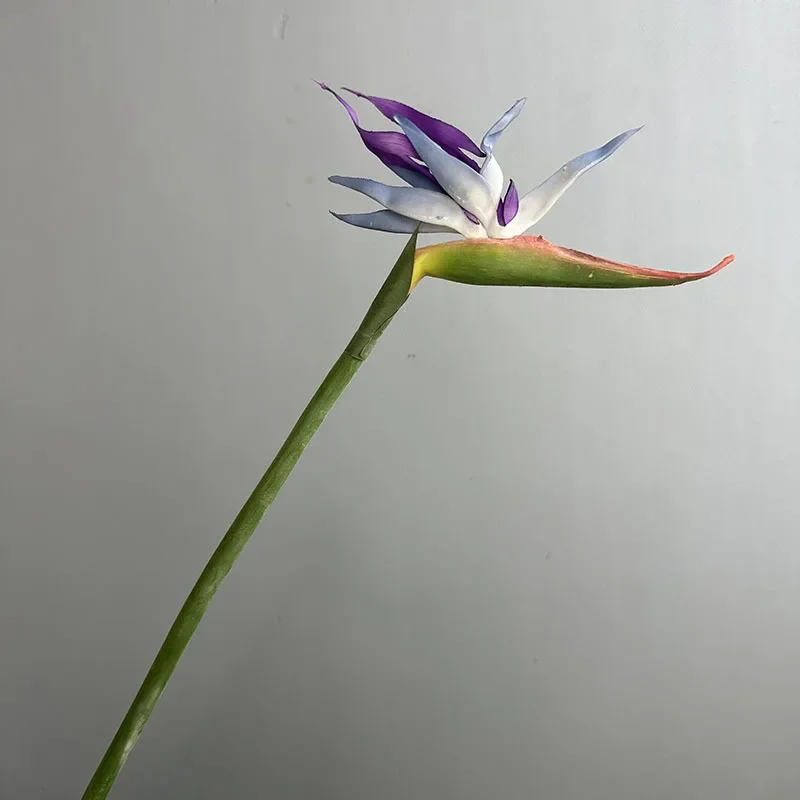 Искусственные райские птицы Green Aloes, 3 шт.