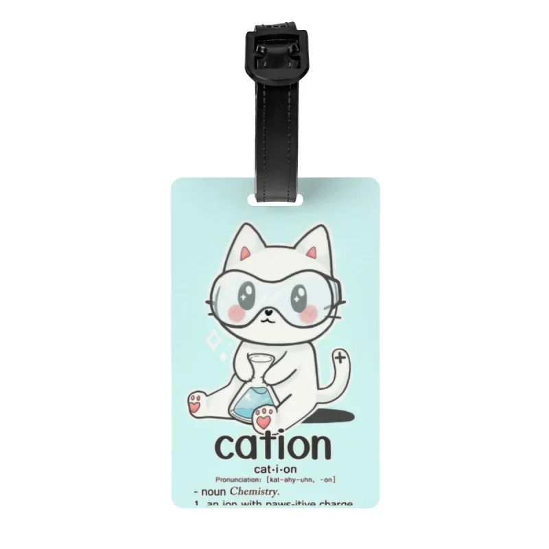 

Пользовательские катионы, Научная игра, новинка, бирка для багажа, защита конфиденциальности, бирки для багажа, этикетки для дорожных сумок, чемодан