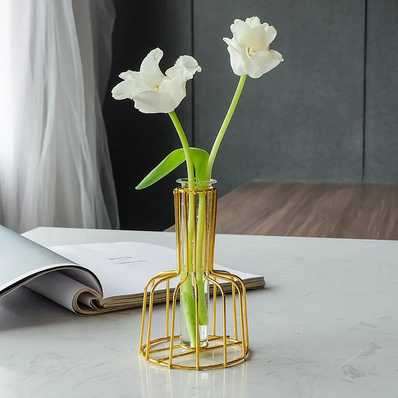 

Nordic modern light luxury ins simple creative flower arrangement plant hydroponic bottle wrought iron glass vase ornament