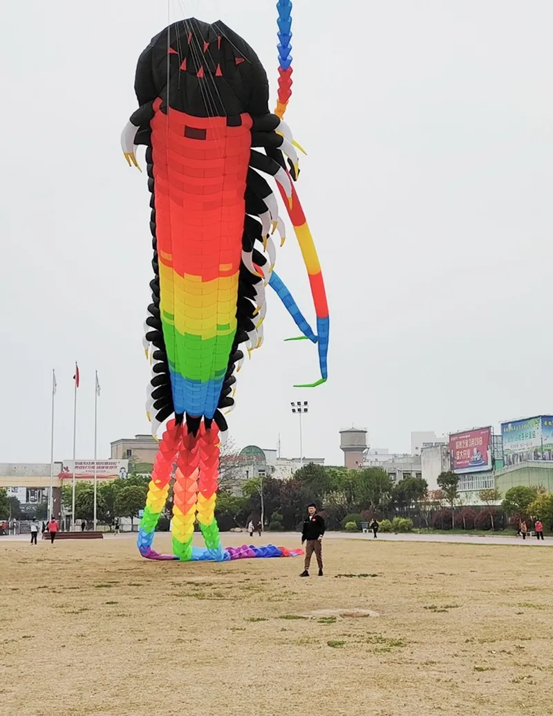 Бесплатная доставка 35 м большой древний трилобитовый змей летающий
