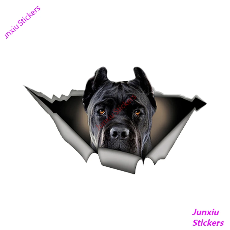 

Creative Car Stickers Black Cane Corso Pet Dog Vinyl Cover Scratches Waterproof Accessories for JDM SUV RV VAN