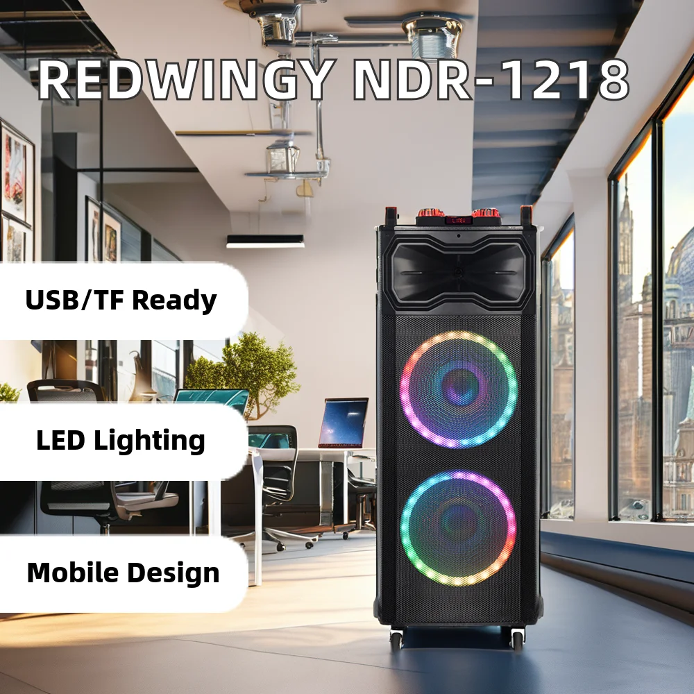 Фото NDR-1218 100 Вт, двойной 12-дюймовый динамик с RGB-подсветкой для караоке-системы, портативная акустическая система для вечеринок, 2 микрофона, для больших уличных сцен, с батареей, подключение к мобильному телефону. №3