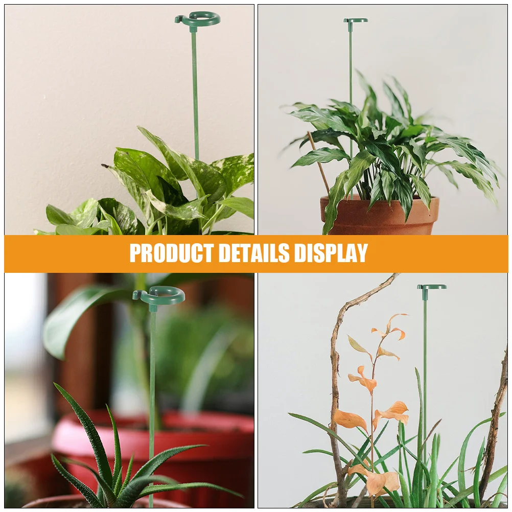 Сочные подставки для фаленопсиса колья комнатных цветов бабочек орхидей