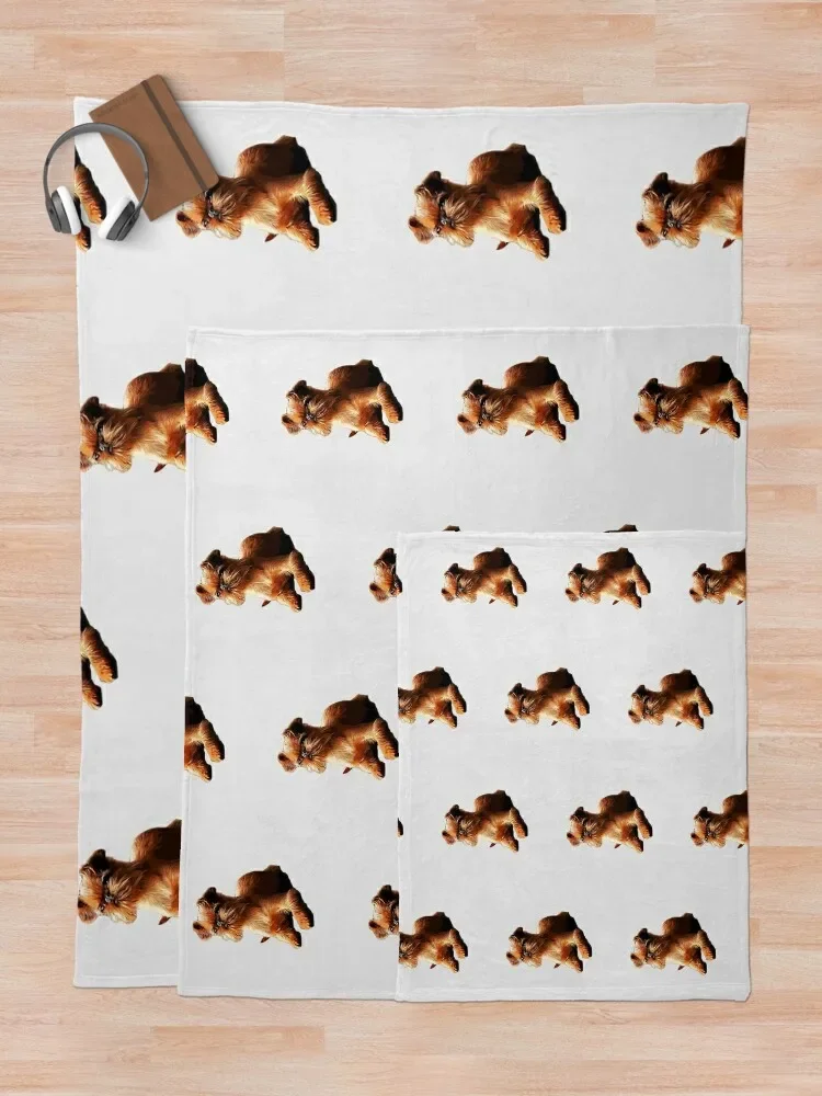 Брюссель Грифон великолепная собака искусство! Одеяло для кровати модные одеяла