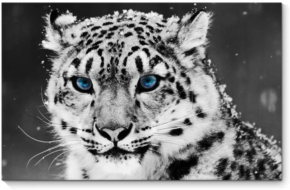 Blueeye Тигровое животное холст живопись картина с животными украшение для дома