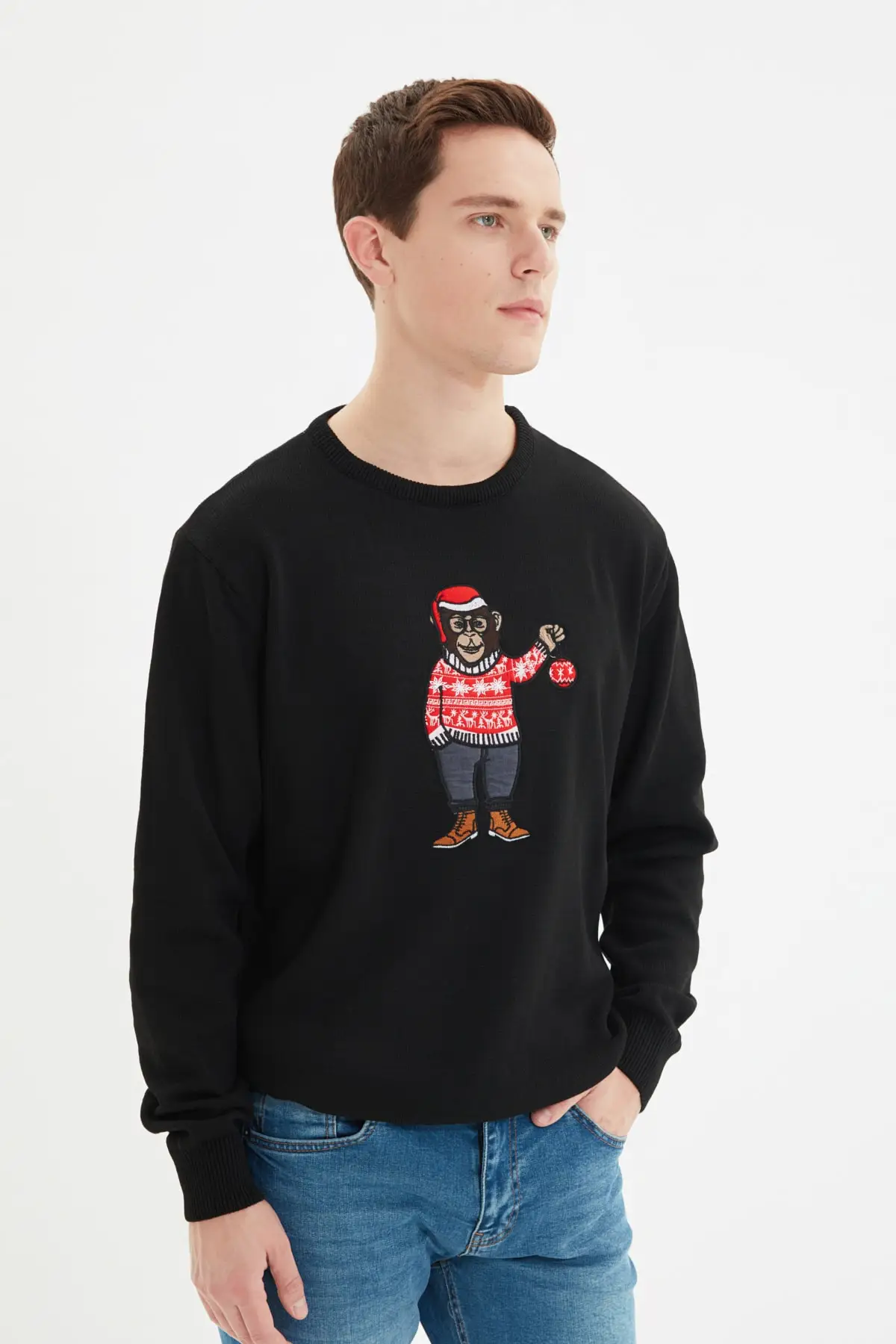 

Men's Regular Fit Christmas Themed Embroidered Pullovers TMNAW22KZ2157