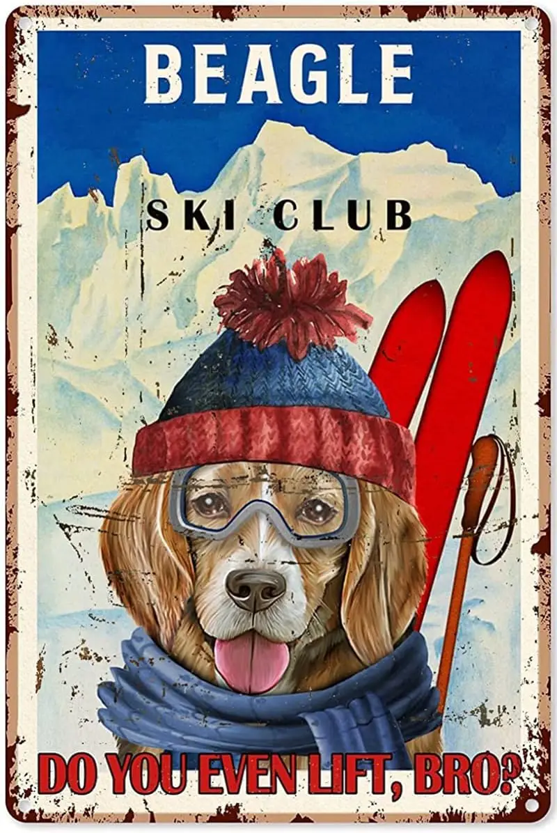 

Skier Decor Girls Born with The Mountain Skiing Vintage Metal Tin Signs Bar Novelty Garage Plaque Holiday Tin Signs Wall Decor