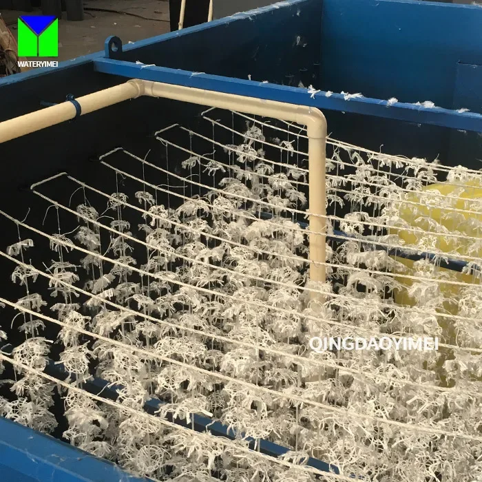 Очистка воды для сточных отходов упаковка оборудования растений Stp Plant/MBBR/MBR