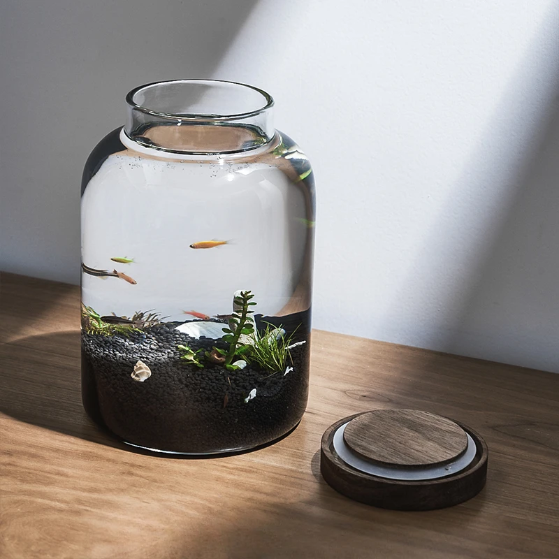 

Не нужно менять воду для ленивого человека, маленький настольный маленький самоциркулирующий экологичный стеклянный аквариум