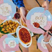 gender reveal party plates girl or boy napkins set baby tableware cups supplies tablecloth partyware decorations cutlery