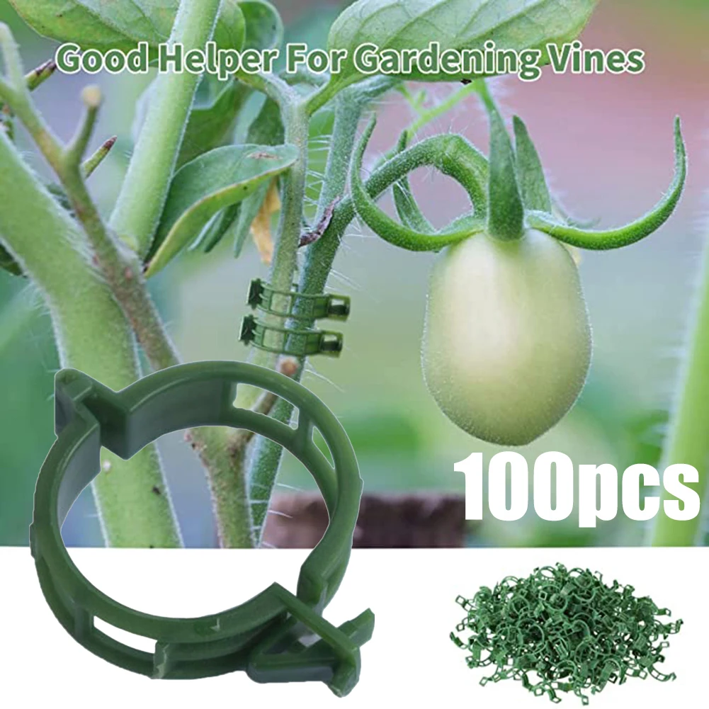 100Pcs Plant Clips Buckle Hook Ties Trellis Stake Garden Plant Support Clips Veggie Tomato Greenhouse Plant Stand Garden Tool