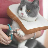 cat toast slice soft adjustable collar anti lick kitten collar cat accessories pet