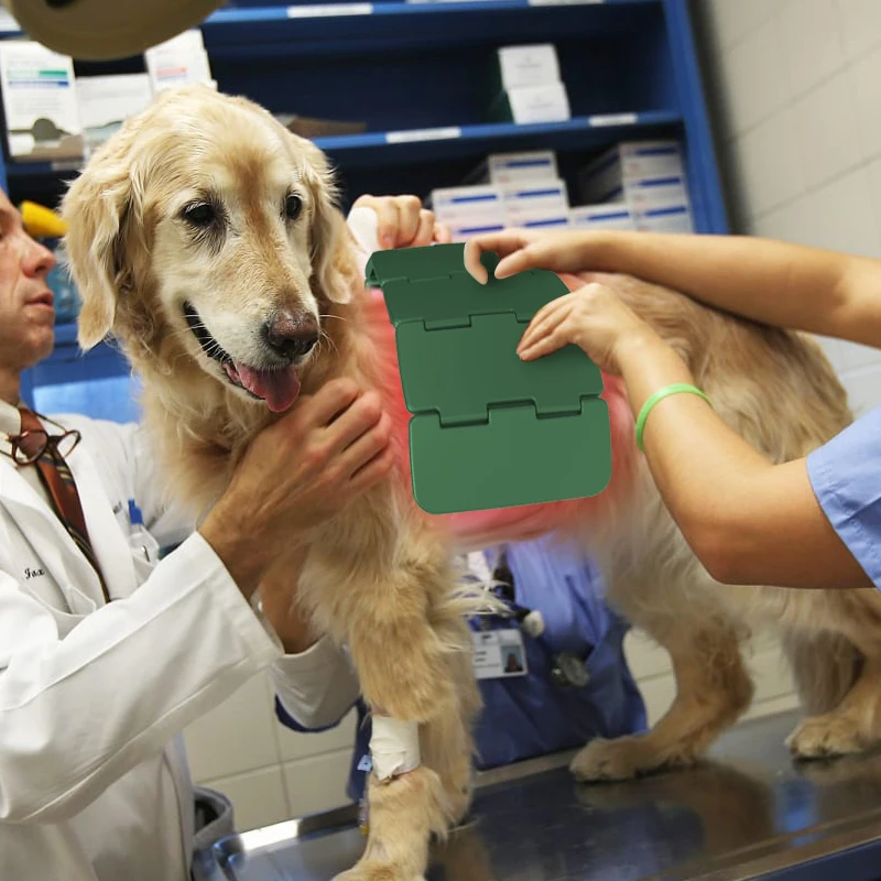 Настоятельно Рекомендуемая инфракрасная фототерапевтическая панель Lastek