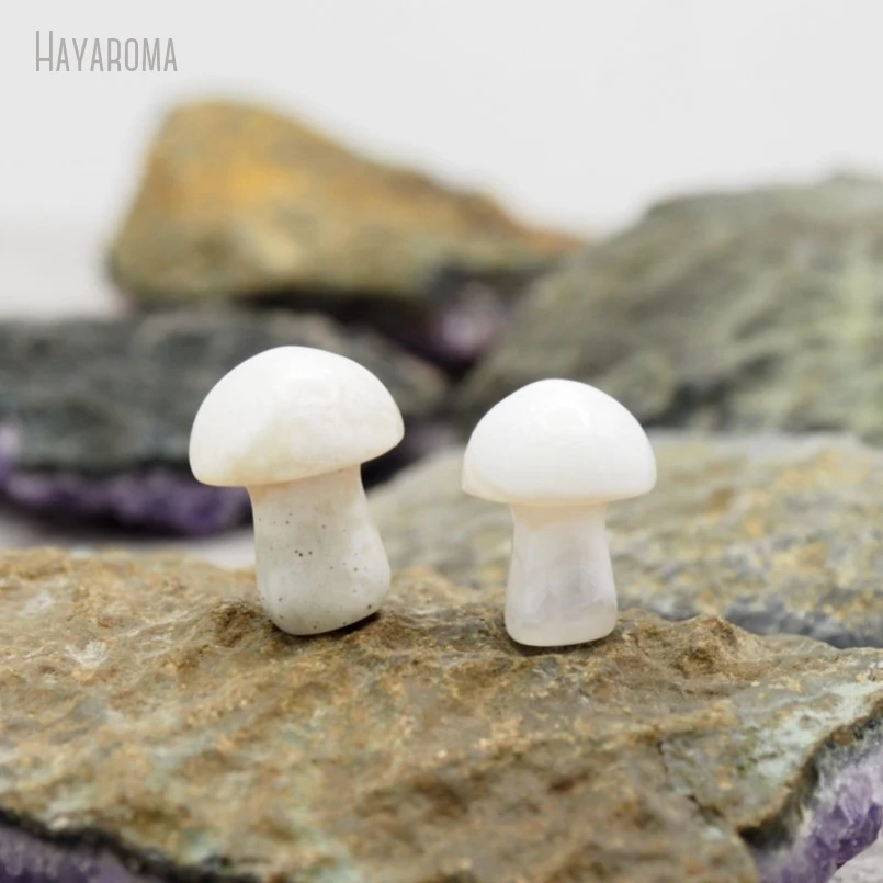 Mushroompus