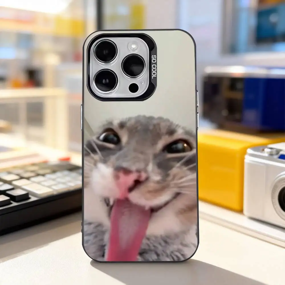 Фото Забавные мемы с котиками: милый чехол для iPhone 11, 12, 13, 14, 15, 16, 17, Pro, Max, Plus, E, Air, Mini, матовый черный IMD №3