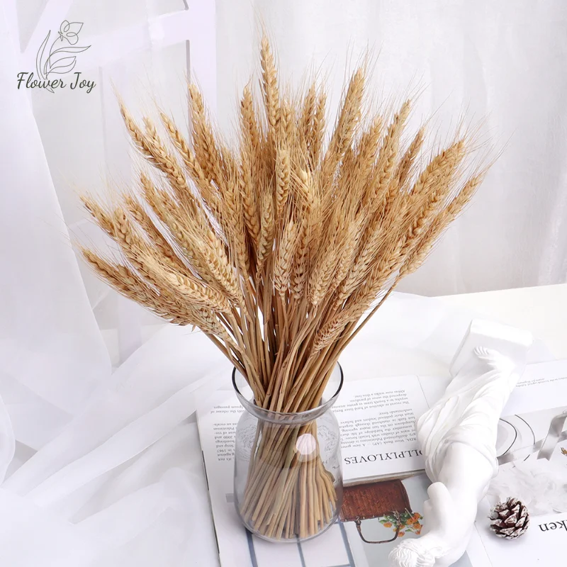 

Natural Wheat Stalks Golden Sheaves Stems Fall Harvest Dried Flowers Bouquet Bunch for Arrangements Thanksgiving Wedding Decor