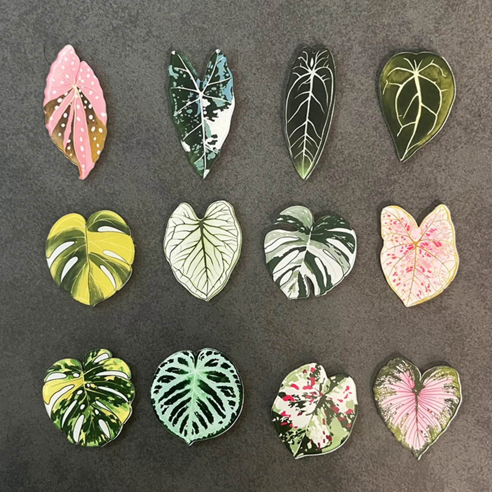 

12 шт., милые магниты на холодильник Begonia Monstera, каваи, тропические растения, магниты на холодильник, доска, декоративные наклейки