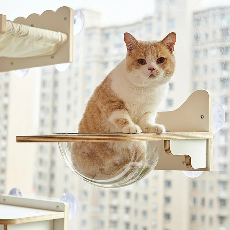 

Wood Cat Shelves Glass Sucker Cat Hammock Climbing Steps Window Perch