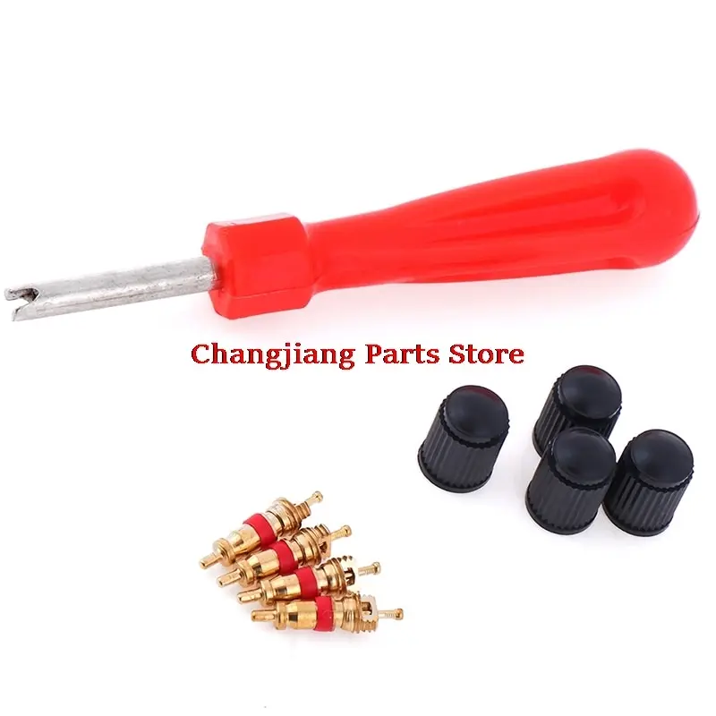 

Комплект для обслуживания клапанов шин, сердечники клапанов, отвертка, ремонт шин, автомобилей и мотоциклов, 1 комплект