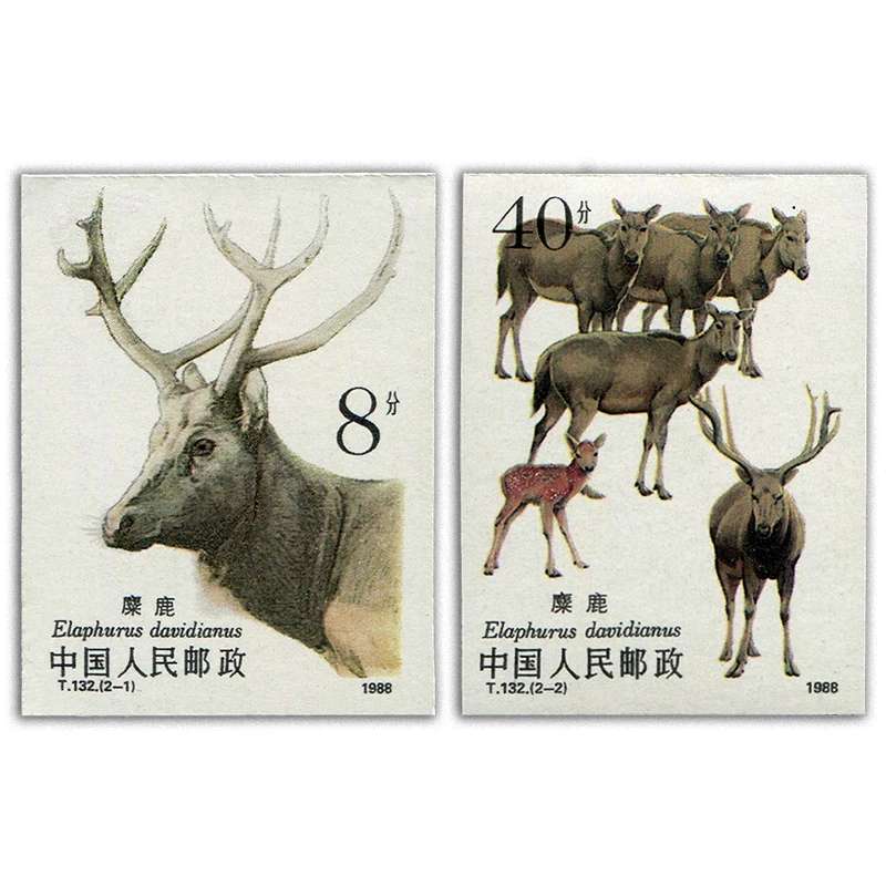 

1988 ( T132 ), лось. Почтовые штампы, Philately, почтовые расходы, коллекция