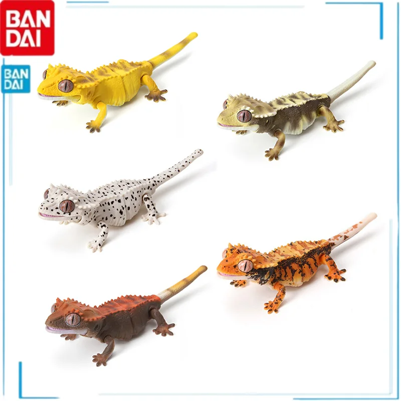 

Bandai Gashapon Simulated Lizard Palace Guarding Model A Guide To Biology Correlophus Ciliatus Lizard Gecko Kids Brinquedos